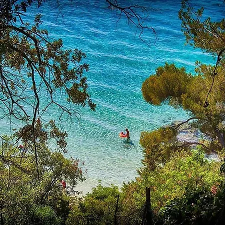 Un Sejour Ideal Au Lavandou ! Apartmán *