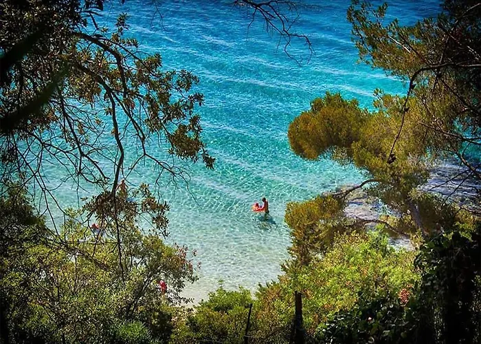 Un Sejour Ideal Au Lavandou ! Appartement *