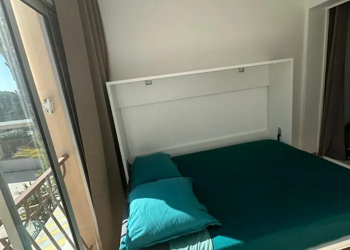 Un Sejour Ideal Au Lavandou ! Apartment